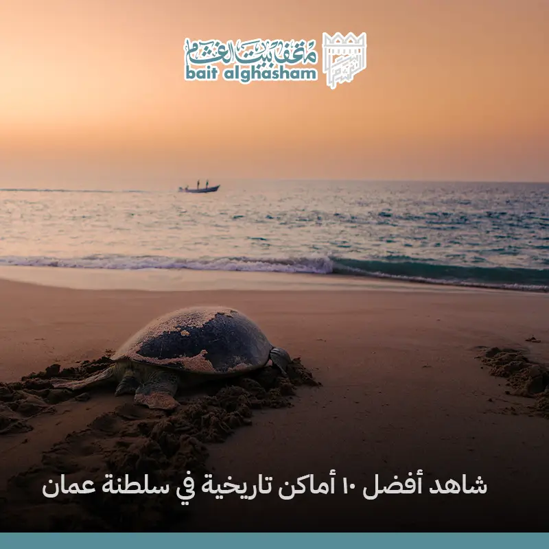 أفضل 10 أماكن تاريخية في سلطنة عمان
