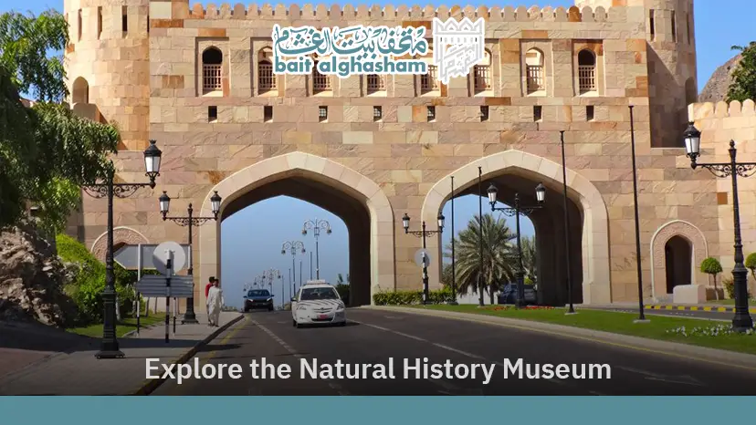 natural history museum