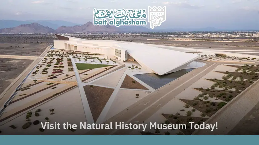 natural history museum