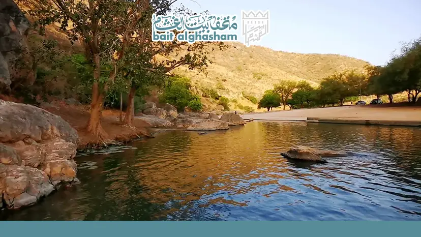 Family Activities Inside Ain Razat Salalah — Ain Razat Salalah