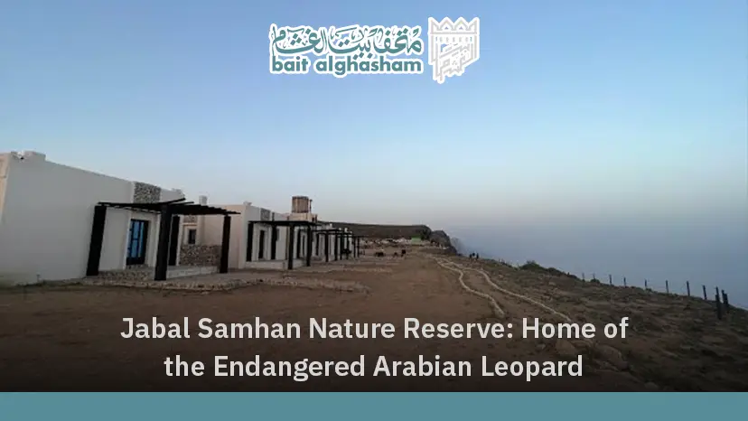 Jabal Samhan Nature Reserve: Home of the Endangered Arabian Leopard
