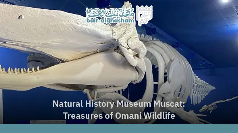 Natural History Museum Muscat: Treasures of Omani Wildlife