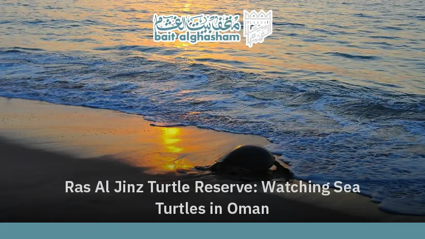 Ras Al Jinz Turtle Reserve: Watching Sea Turtles in Oman