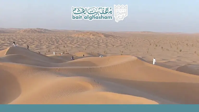 Photography Tips for Golden Hour in the Dunes — Sharqiya Sands (Wahiba Sands) Desert