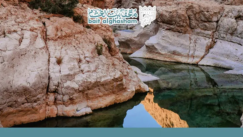 ​مقارنة بين التجهيزات ومستويات الأنشطة في جبل شمس — جبل شمس