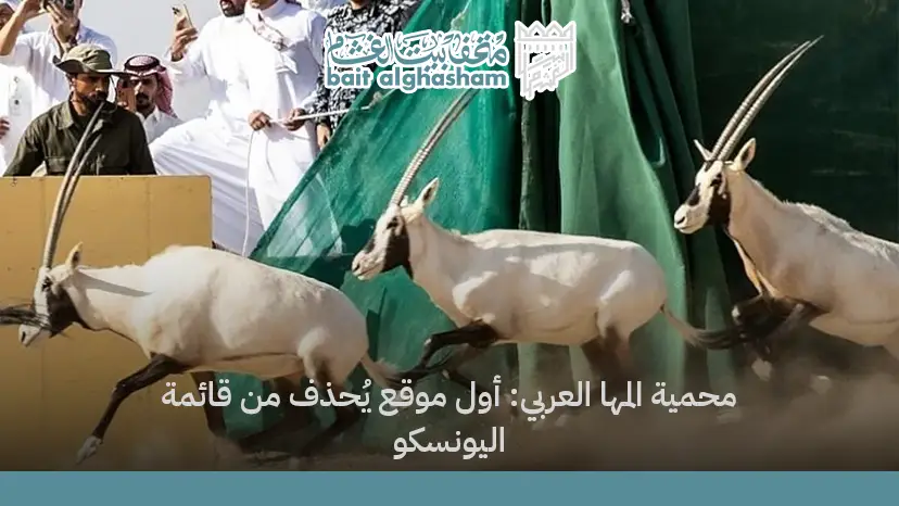 محمية المها العربي: أول موقع يُحذف من قائمة اليونسكو