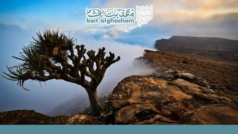 ​الحياة البرية الأخرى والتنوع النباتي داخل المحمية — محمية جبل سمحان