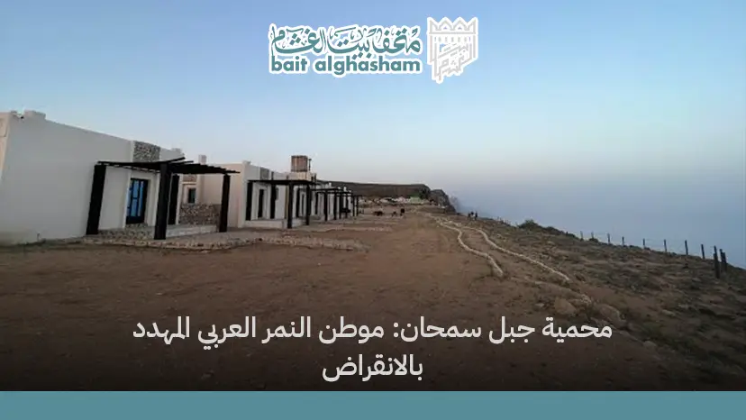 محمية جبل سمحان: موطن النمر العربي المهدد بالانقراض