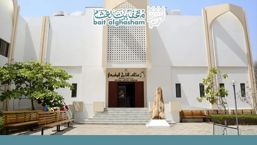 ​هل يناسب متحف التاريخ الطبيعي بمسقط الأطفال والعائلات؟ — متحف التاريخ الطبيعي بمسقط