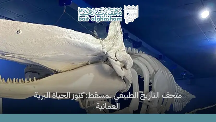 متحف التاريخ الطبيعي بمسقط: كنوز الحياة البرية العمانية