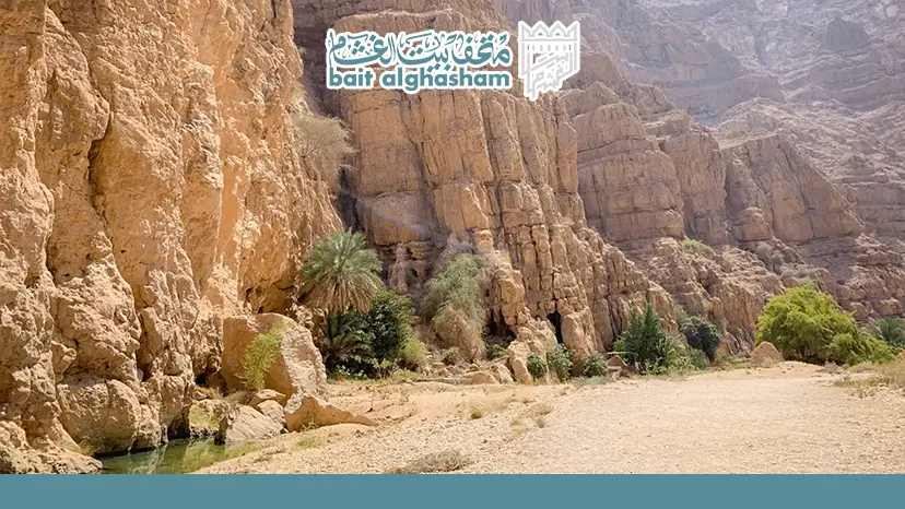 ​أفضل وقت في السنة واليوم للزيارة ولحظات الاستكشاف المثالية — وادي شاب في عمان