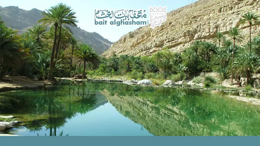 دمج زيارة المحمية ضمن مسار سياحي في الشرقية — محمية السليل الطبيعية