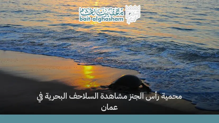 محمية رأس الجنز: مشاهدة السلاحف البحرية في عمان