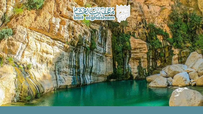​مقارنة بين الخيارات والأنشطة في وادي طيوي — وادي طيوي